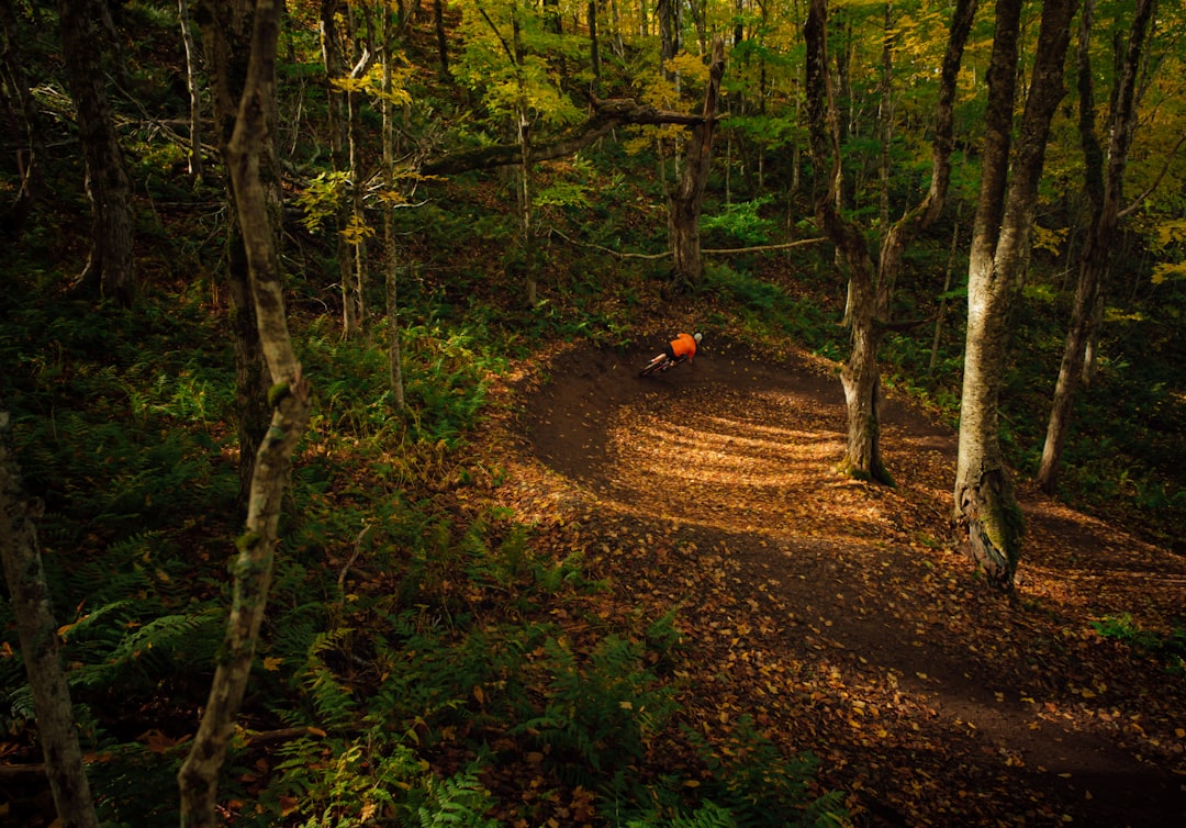 Best MTB Trails UK 2026: Top Locations